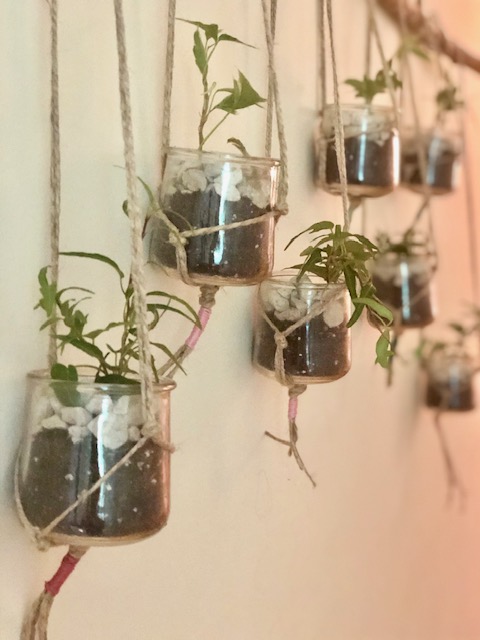 What to do with Oui jars