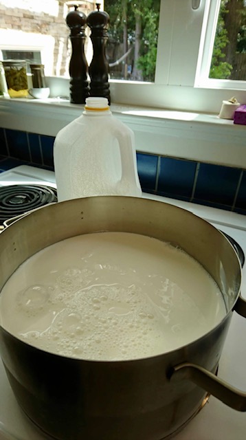 How to make Yogurt?